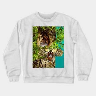 Nesting Owl Crewneck Sweatshirt